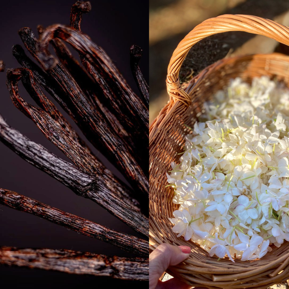 Origins: From Madagascan Vanilla to Indian Jasmine