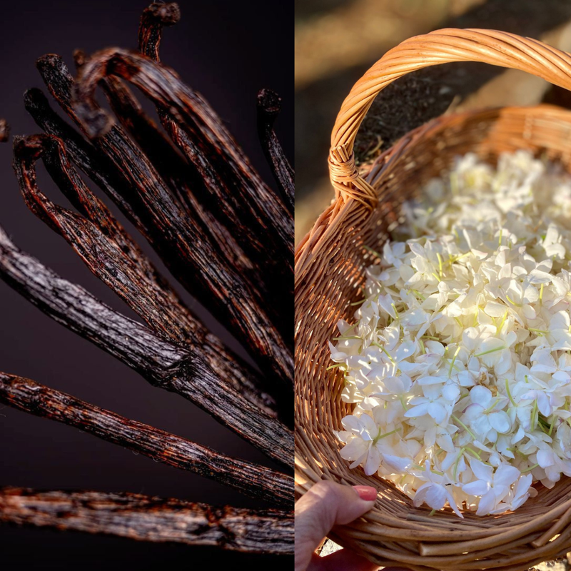 Origins: From Madagascan Vanilla to Indian Jasmine